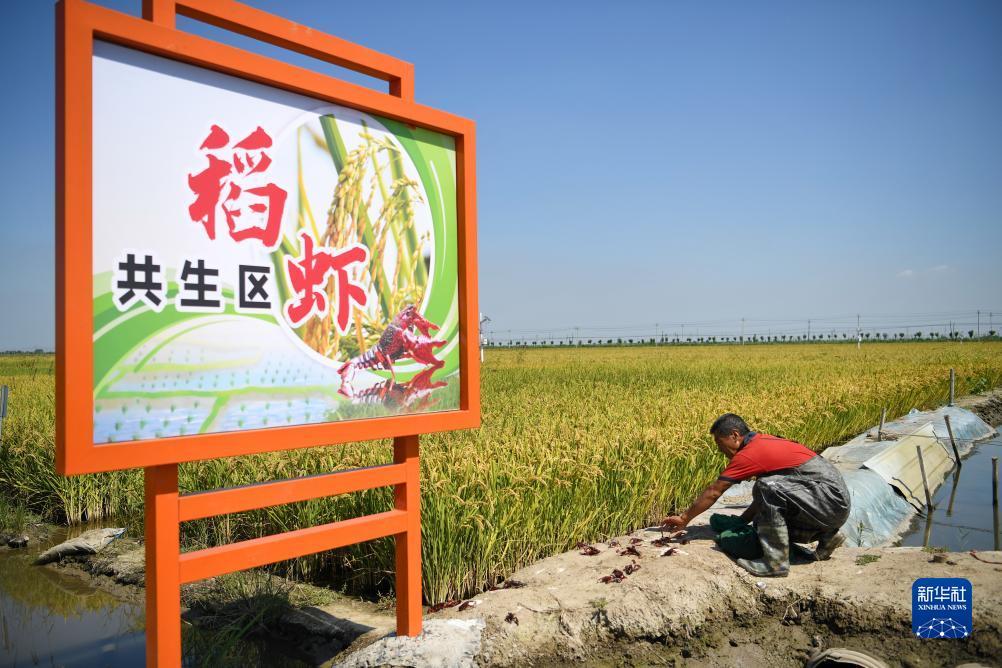 葡京游戏官方网站