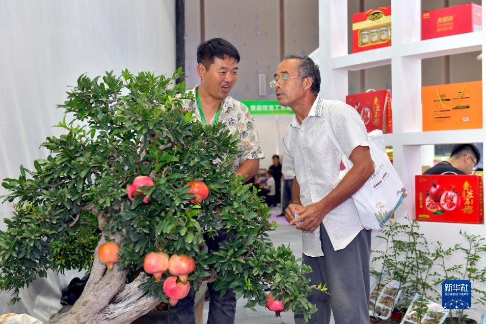 银河糖果网址是什么